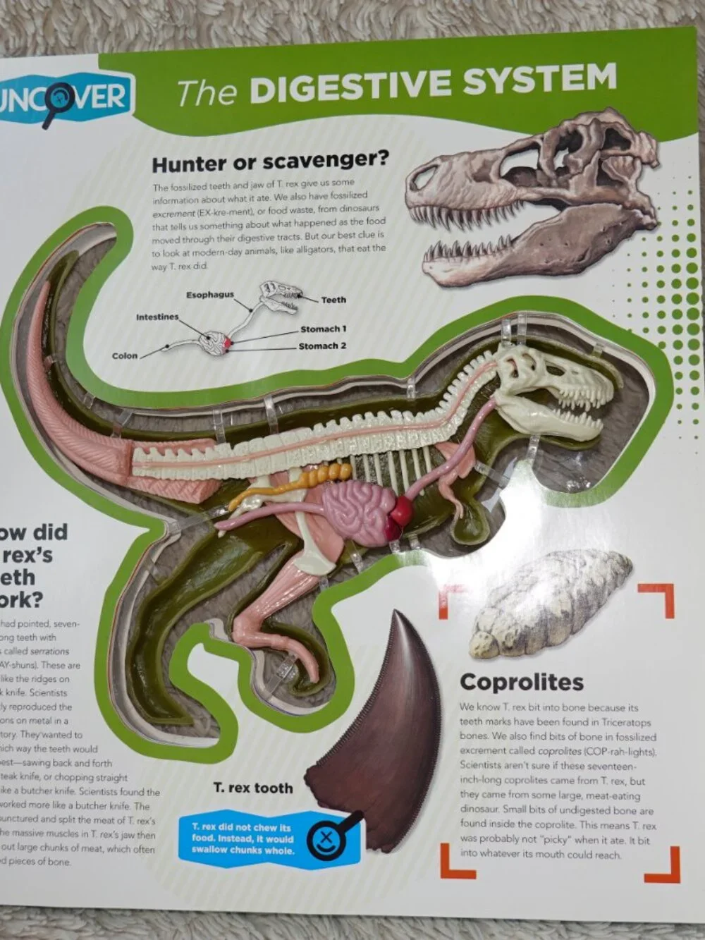 Uncover a T.Rex Hardcover 3D Book and Model
